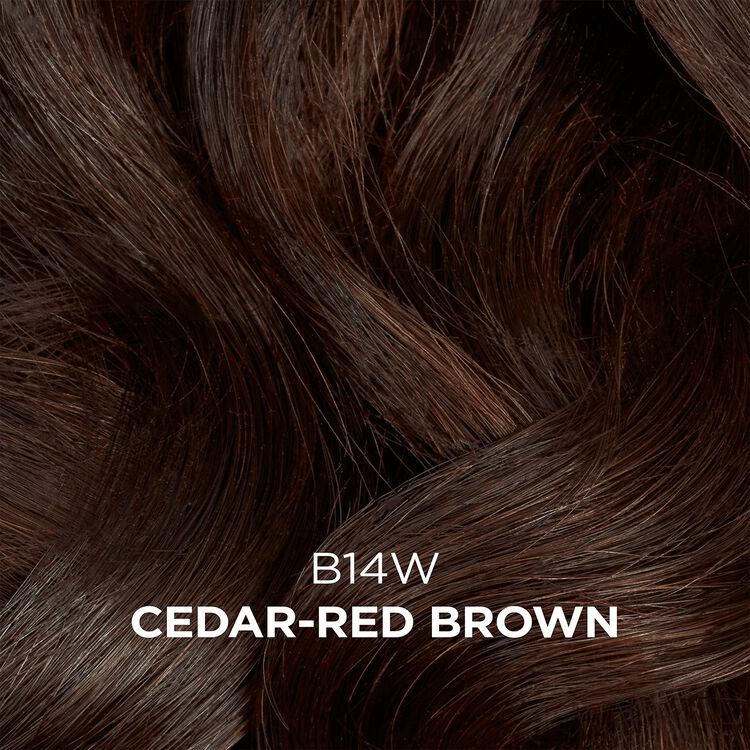 Clairol Semi-Permanent Haircolor Cedar Red Brown