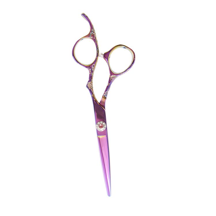 Rainbow Carved styling Shears by Salon Care Shears & Shapers Sally