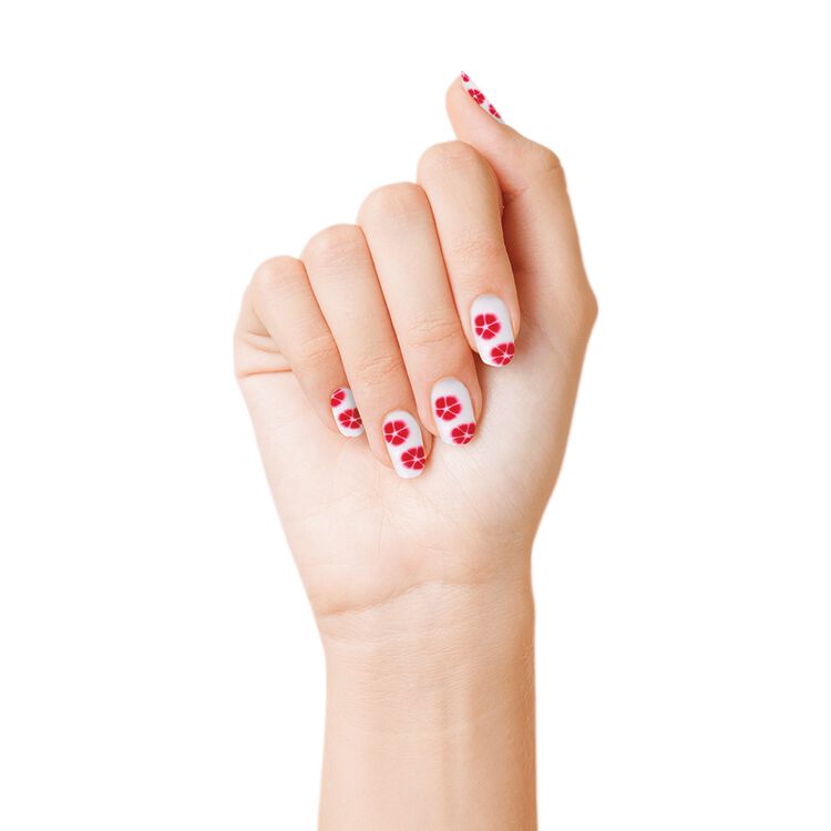 Blooming Gel Kit