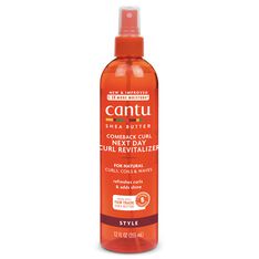 Next Day Curl Revitalizer