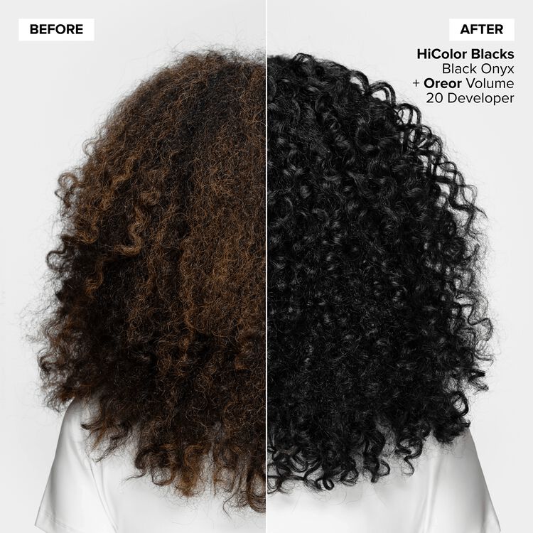 H21 Black Onyx Permanent Hair Color