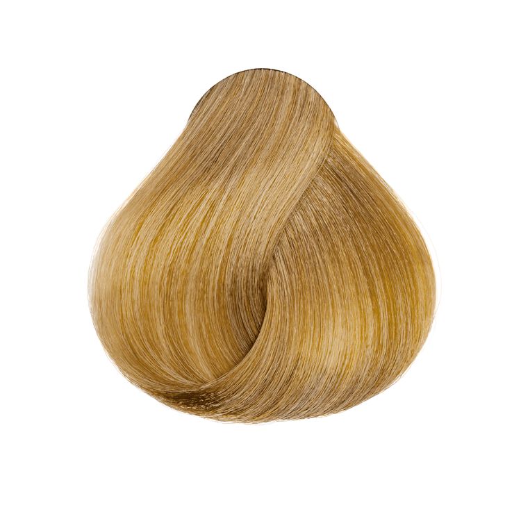 L'Oreal Excellence HiColor Golden Blonde