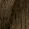 5X Medium Brown