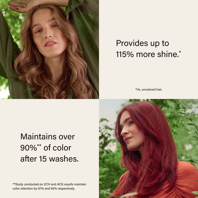 Ammonia-Free Permanent Hair Color Natural Light Rich Chestnut Brown 5NN