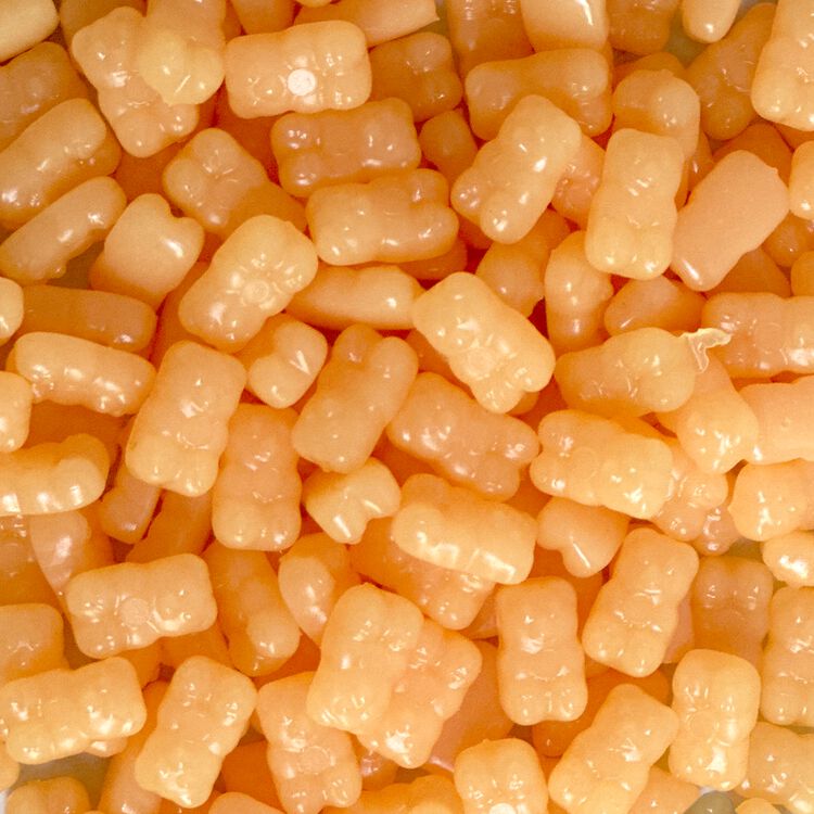 Honee Bear Wax Kit