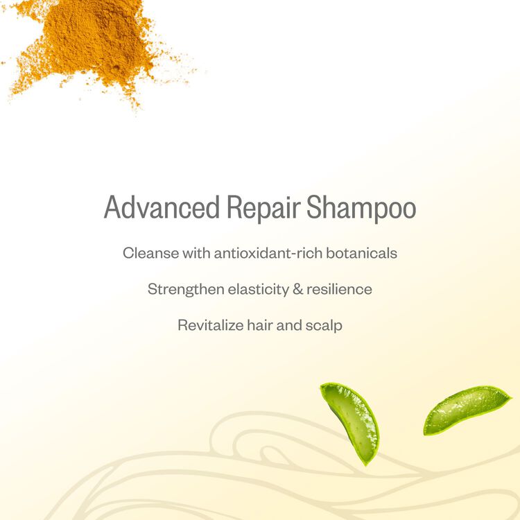 Advanced Repair Shampoo 16oz