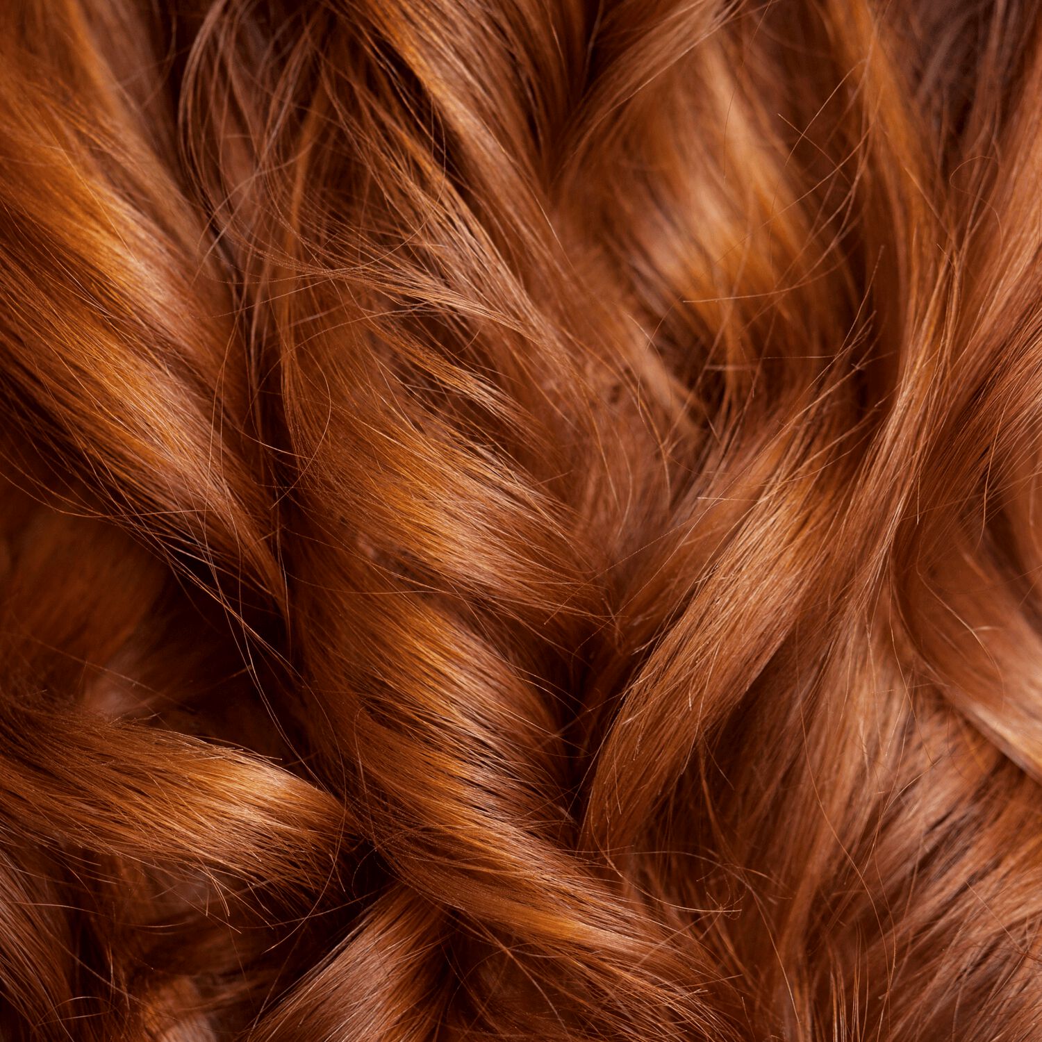 Ion 6RW Dark Rosewood Blonde Permanent Creme Hair Color by Color