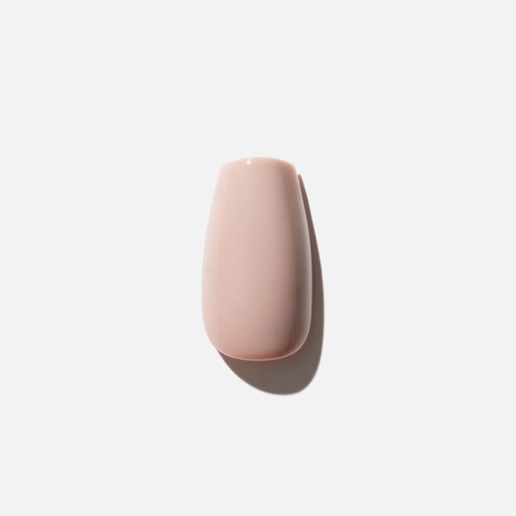 Bear Necessities Premium Press On Nails