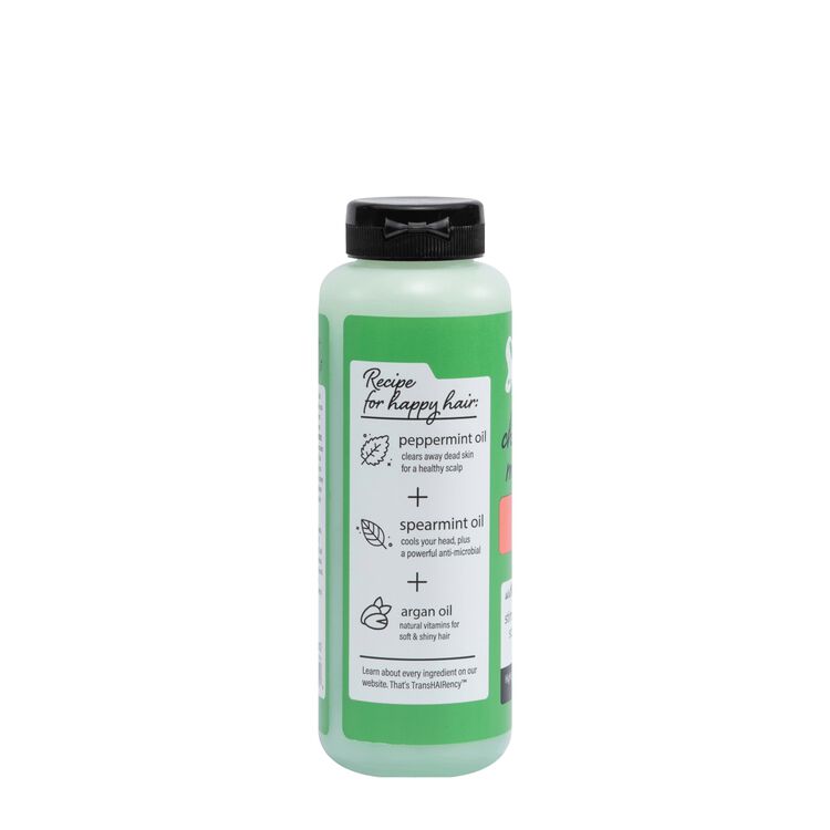 Chimichurri Mint Tingle Intense Repair Shampoo