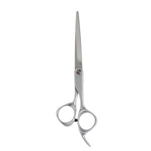 Transform 6.25" Shear