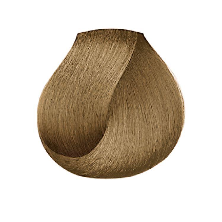 L'Oreal Creme Resistant Gray Medium Blonde