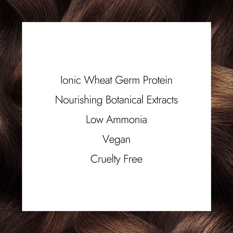 Ion 4N Medium Brown Permanent Creme Hair Color by Color Brilliance