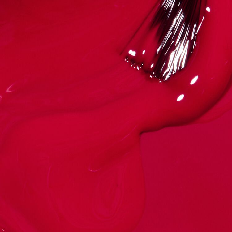 Dutch Tulips Nail Lacquer