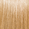 8NN Light Intense Blonde