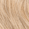 12N High Lift Neutral Blonde