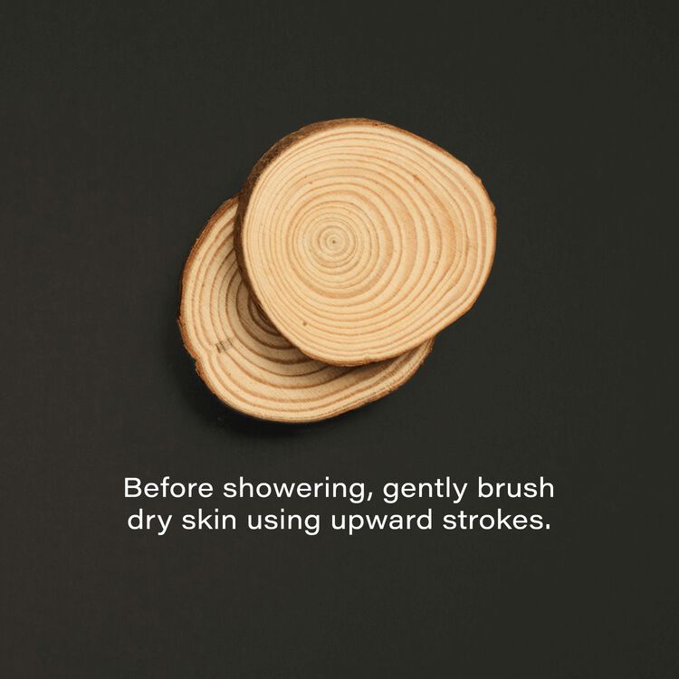 Dry Brush
