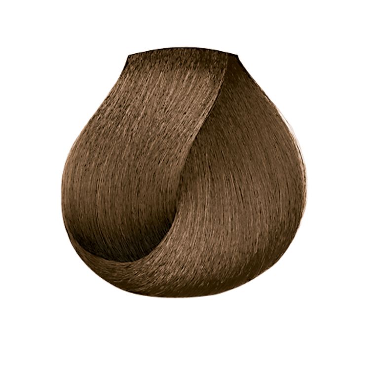 L'Oreal Excellence Creme Dark Ash Blonde