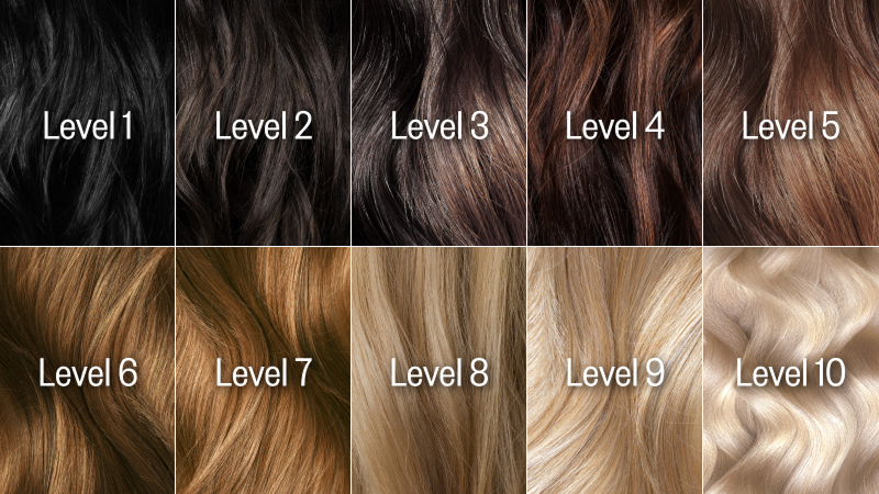 hair chart